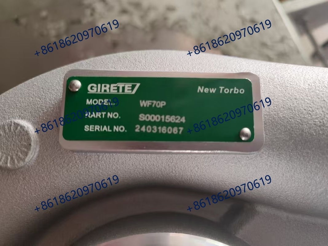 WF70 S00015624/70001046 قارب محرك الديزل ذو شحنات فائقة